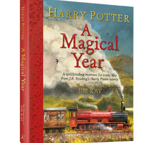 a magical year cover2