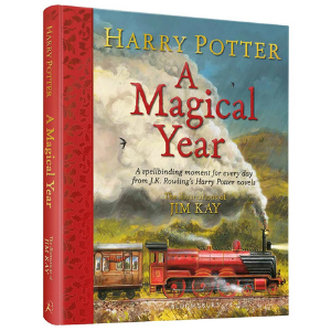 a magical year cover2