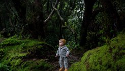 child in forest.jpg