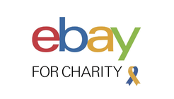 ebay for charity
