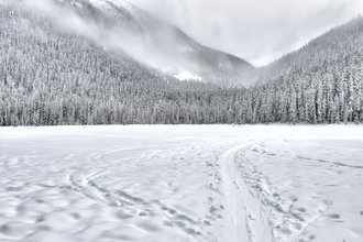 Winter scene with snow